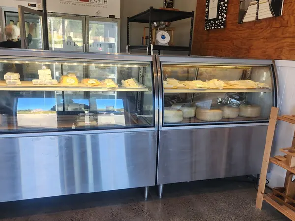 Cheese counter at a Hawke's Bay artisan food producer